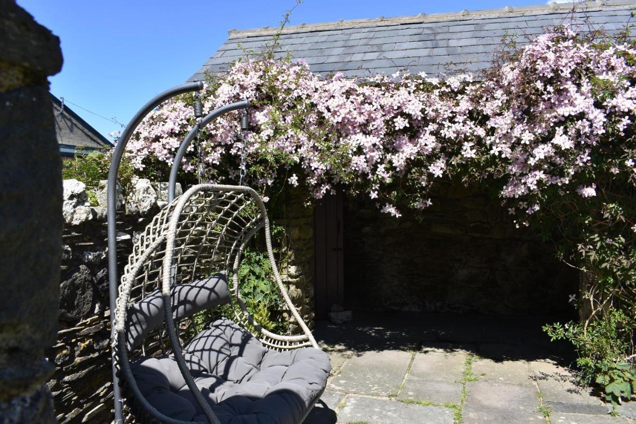 Crug Glas Country House St. Davids  Esterno foto