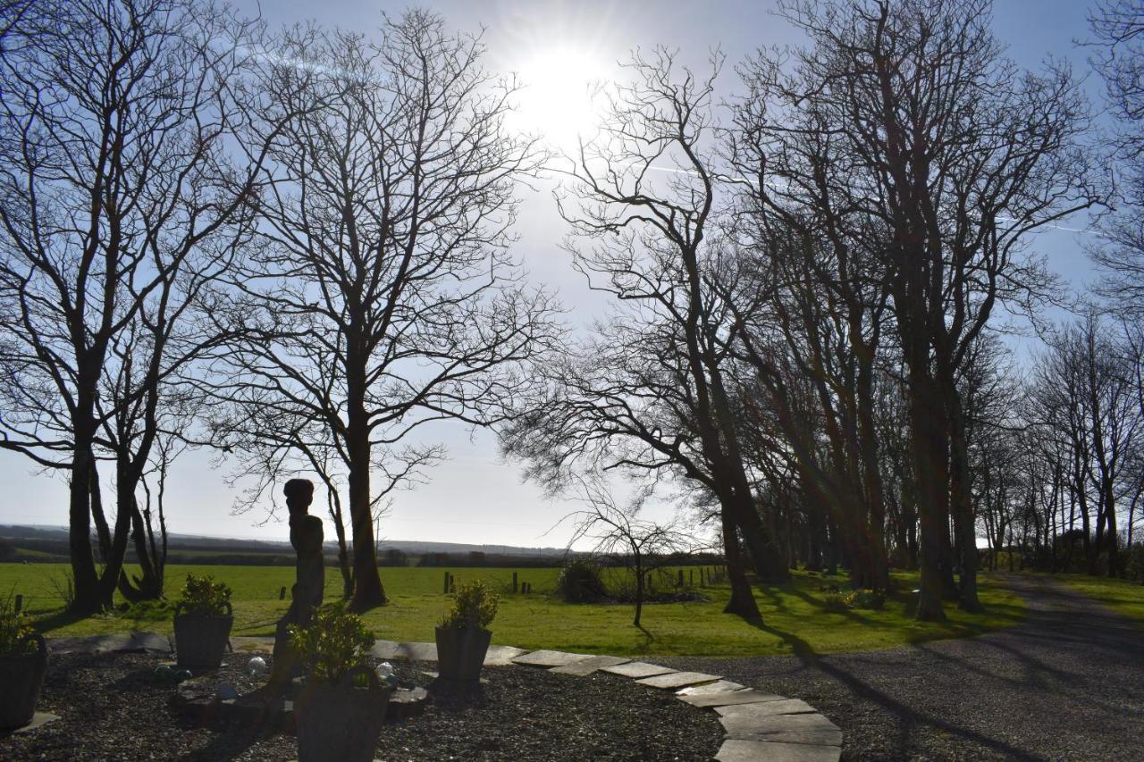 Crug Glas Country House St. Davids  Esterno foto