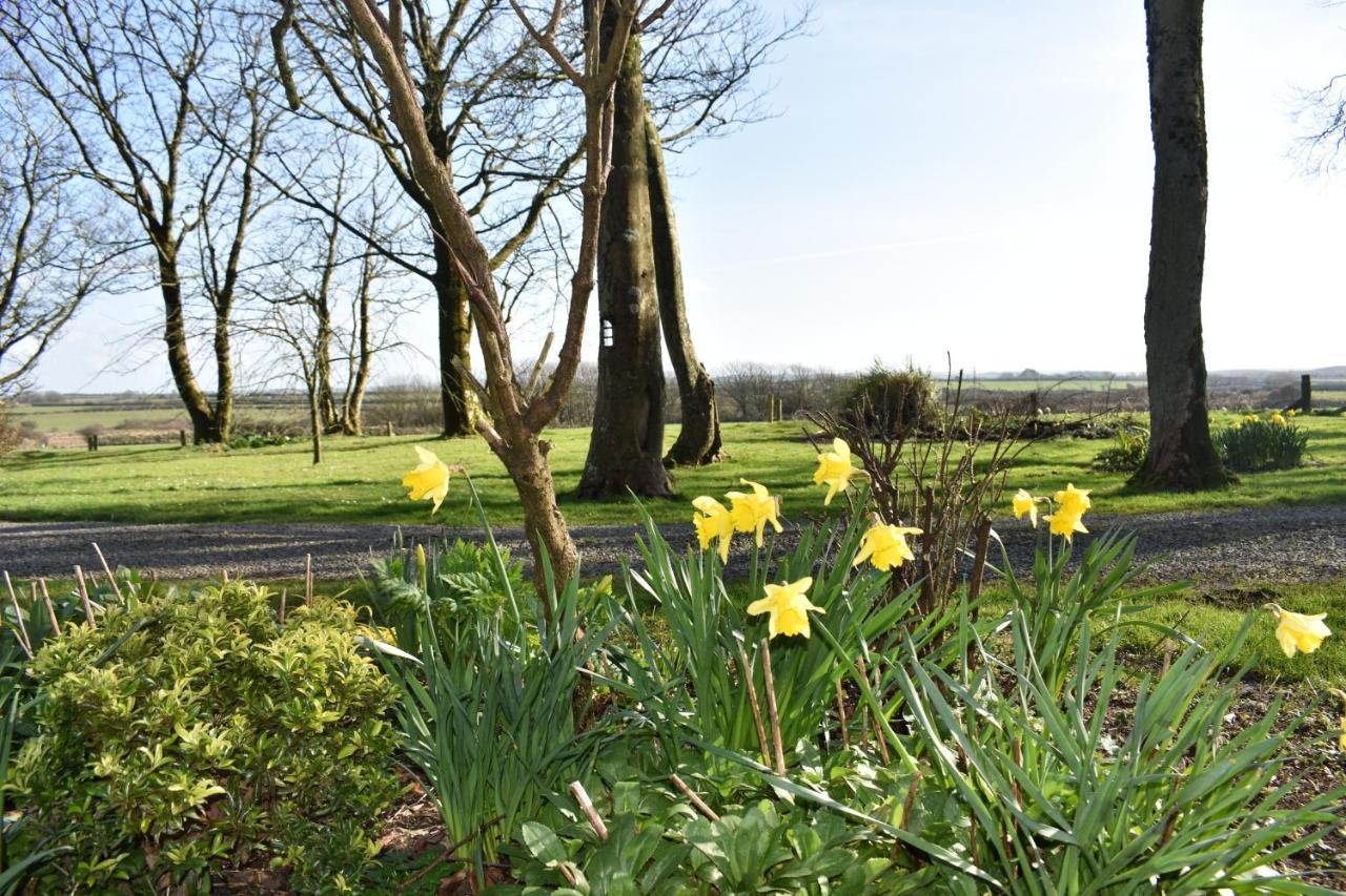 Crug Glas Country House St. Davids  Esterno foto