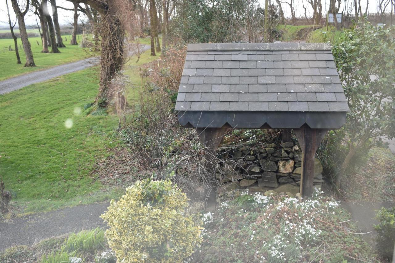 Crug Glas Country House St. Davids  Esterno foto